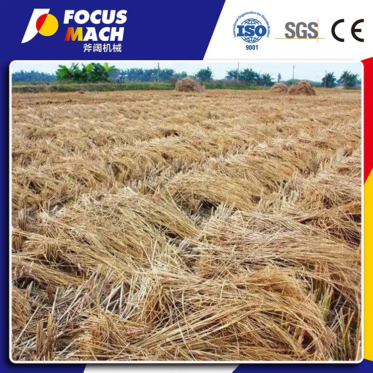 STRAW OSB MACHINERY (6)
